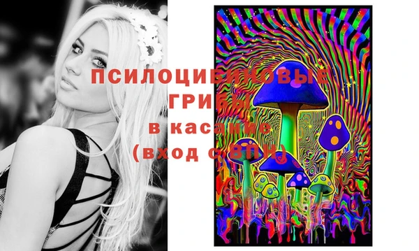 мдпв Алзамай