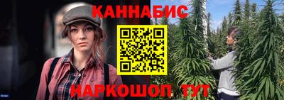 мдпв Татарск